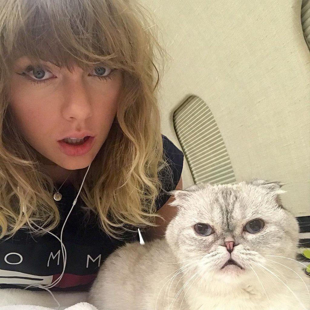 Taylor Swift No Makeup 2024 - Erina Jacklin