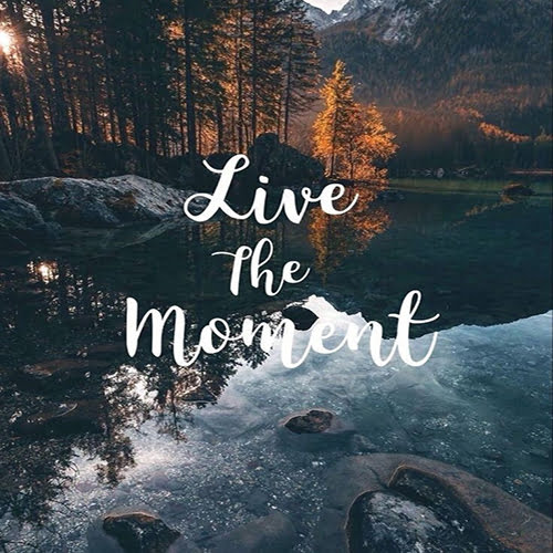 live the moment feel free 