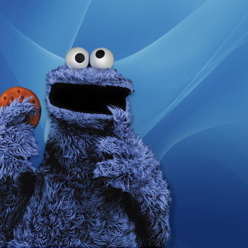 cookie monster photo