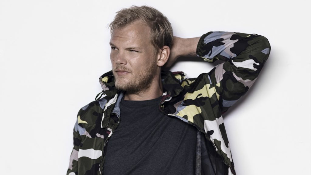 Avicii - EDM artists