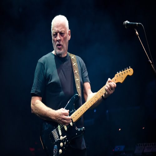 David Gilmour