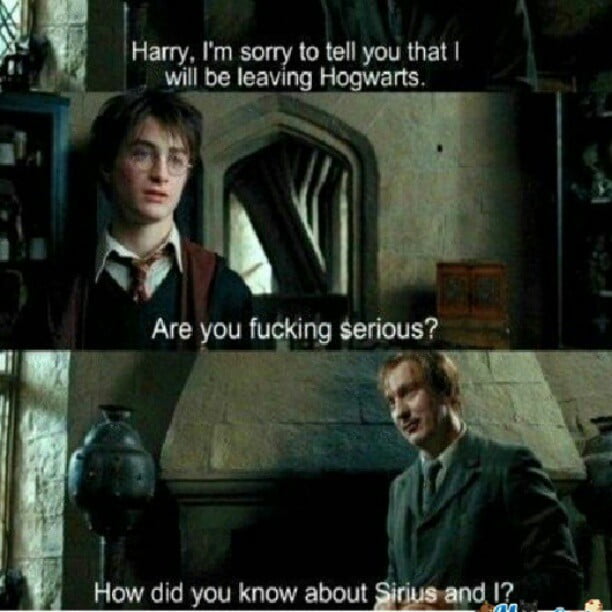 Harry Potter Memes