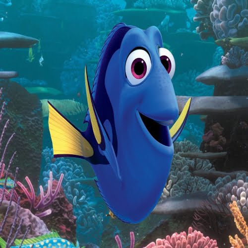 Dory