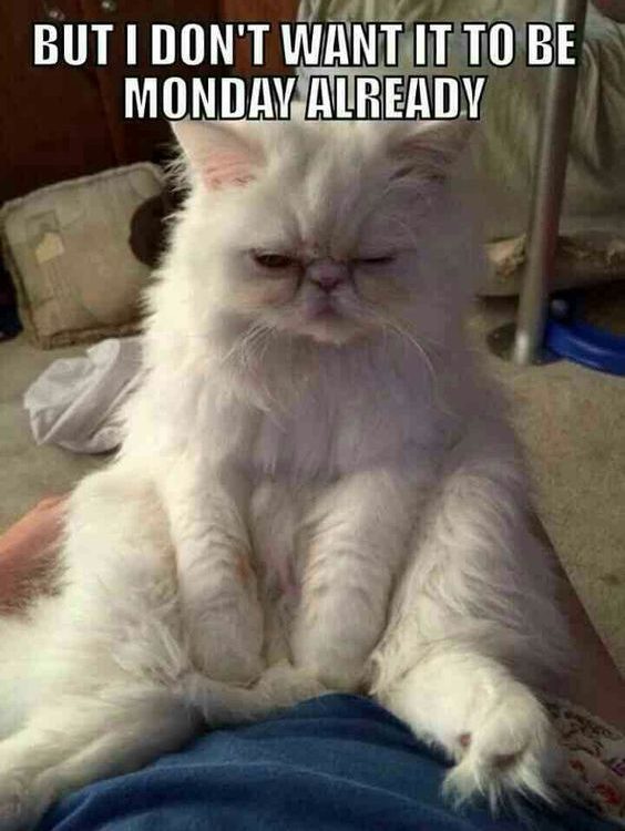 Monday Meme: 34 Funny Worst Day Memes