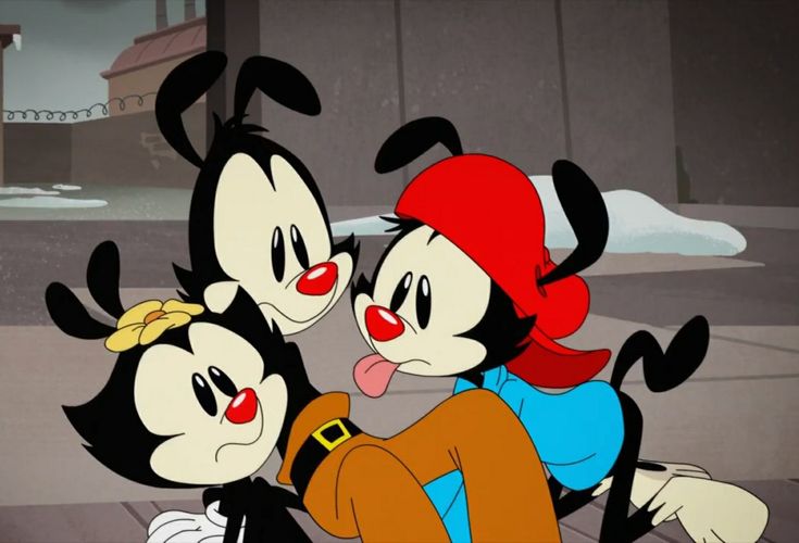 Best 90s Cartoons: Animaniacs