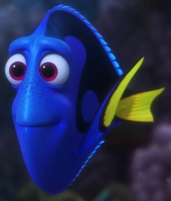 Dory Blue Disney Characters