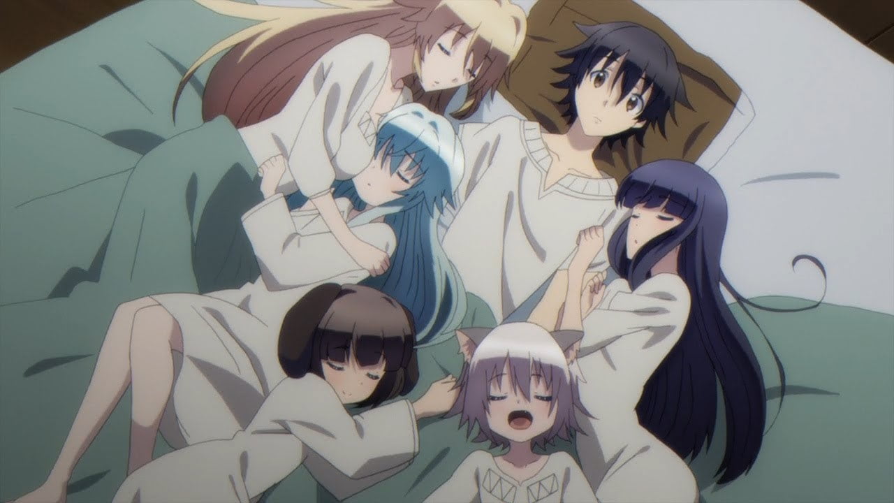 11 Best Anime With Harem Ending BooksWide