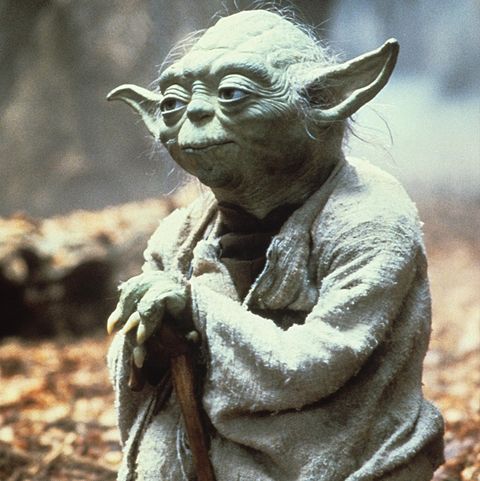 Yoda’s Species Star Wars Species