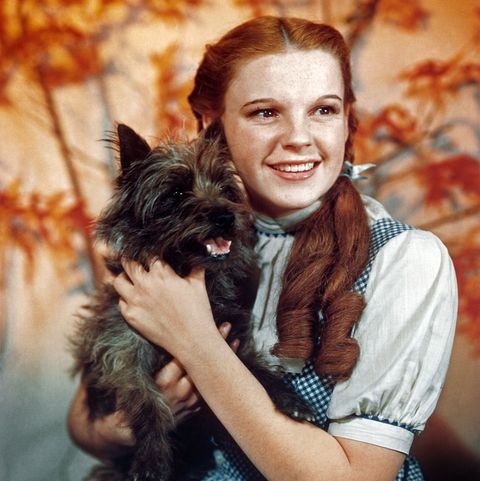 Dorothy E. Gale Wizard Of Oz Characters