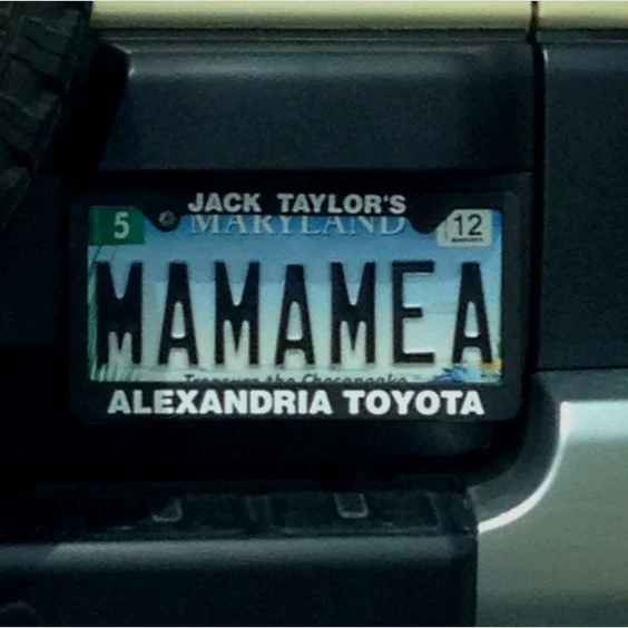 MAMAMEA Funny License Plates