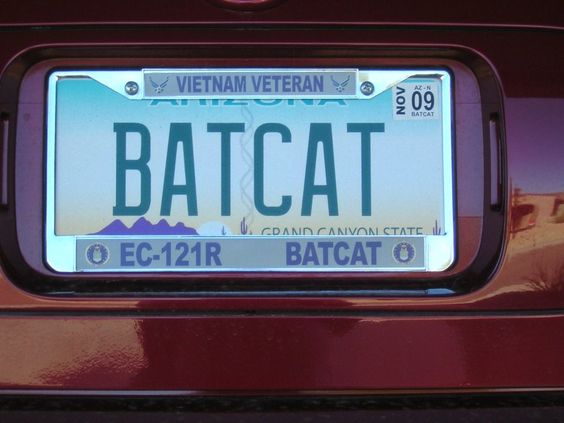 BATCAT Funny License Plates