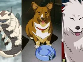 Anime animals
