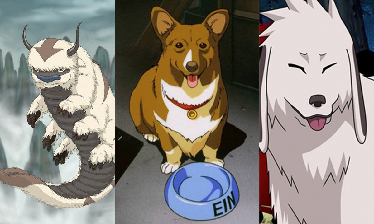 Anime Animals | The 30+ Best Animal Characters in Anime-demhanvico.com.vn