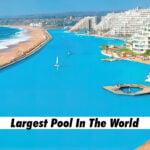Largest Pool In The World