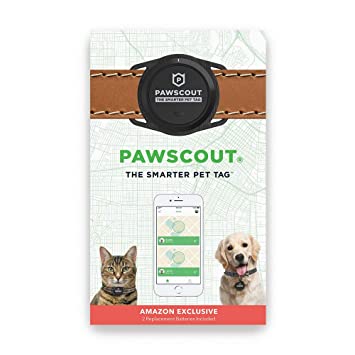 Pawscout Smarter Tag Best Dog Trackers