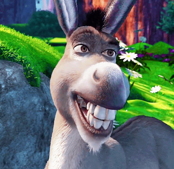 Donkey dreamworks characters