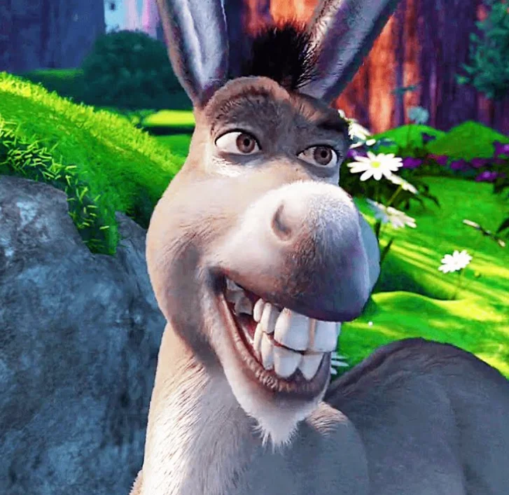 Donkey dreamworks characters