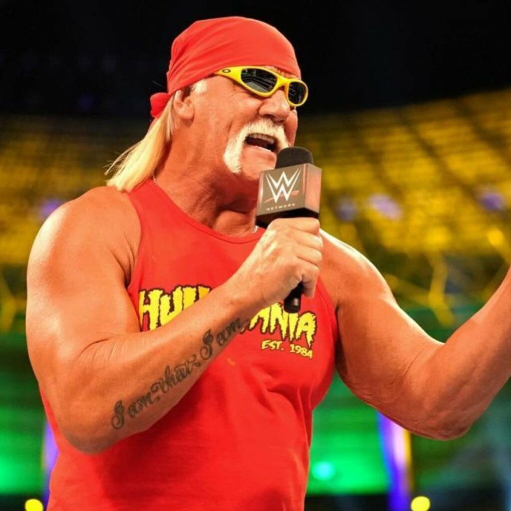 Hulk Hogan best wwe wrestlers
