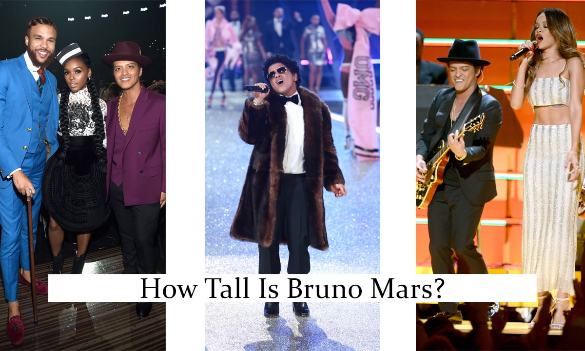 How Tall Is Bruno Mars?