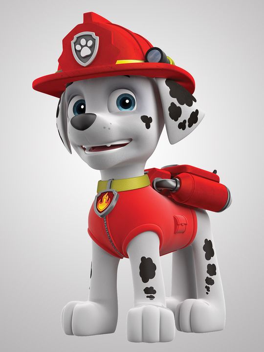 Marshall Best Paw Patrol Characters