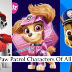 Paw Patrol Characters