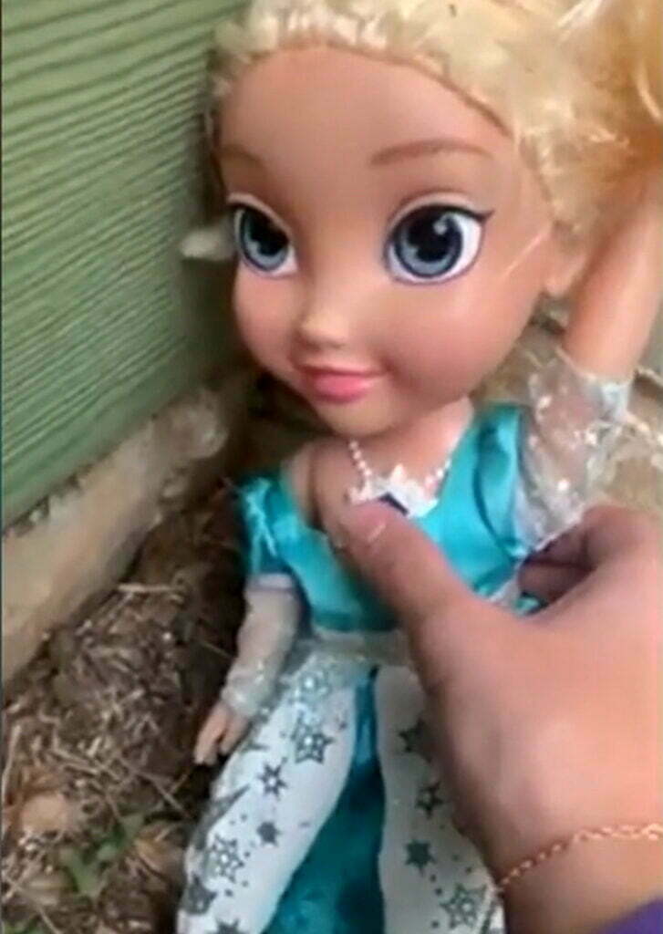 haunted dolls: Elsa