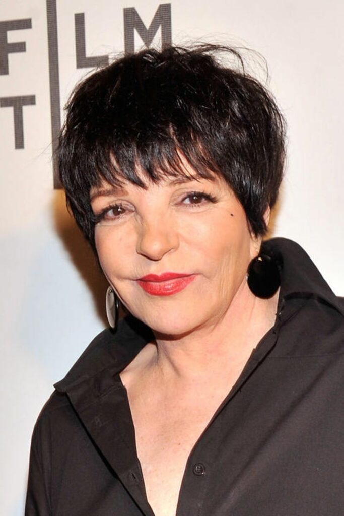 70s female singers: Liza Minelli