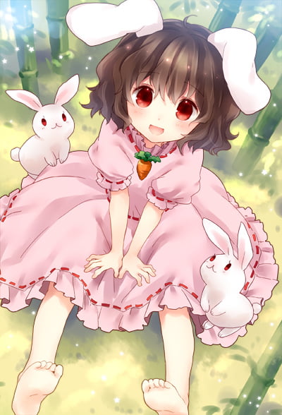 Touhou characters: Tewi Inaba