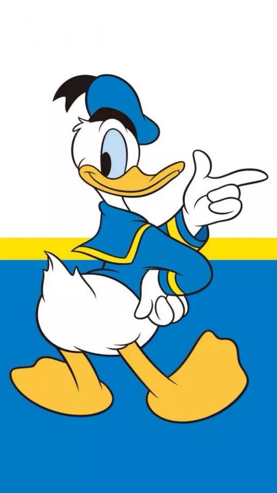 Cartoon Ducks: Donald Ducks