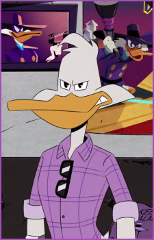 Cartoon Ducks: Drake Mallard