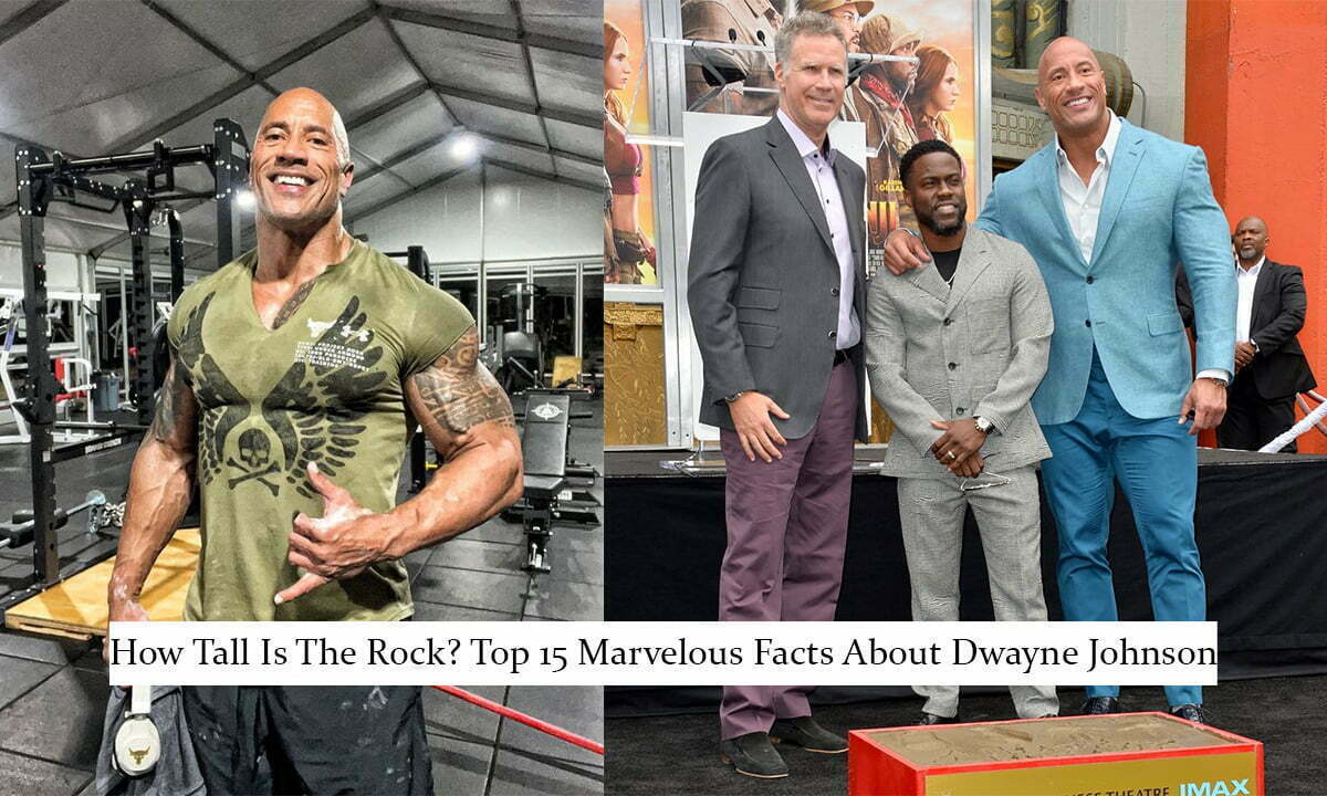 How Tall Is The Rock Top 15 Marvelous Facts About Dwayne Johnson