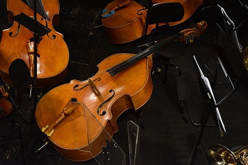 String Instruments: Double Bass 