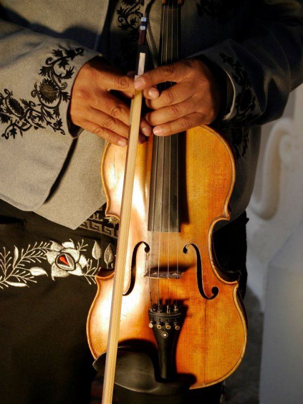 Violin