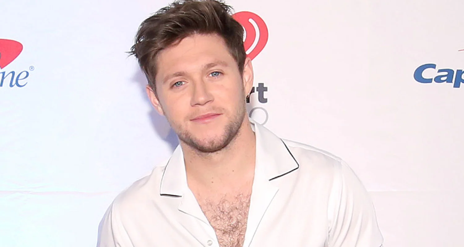 Niall Horan Meltdown