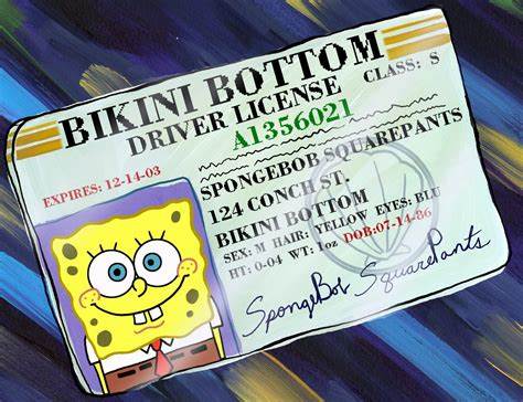 How Old is Spongebob: License