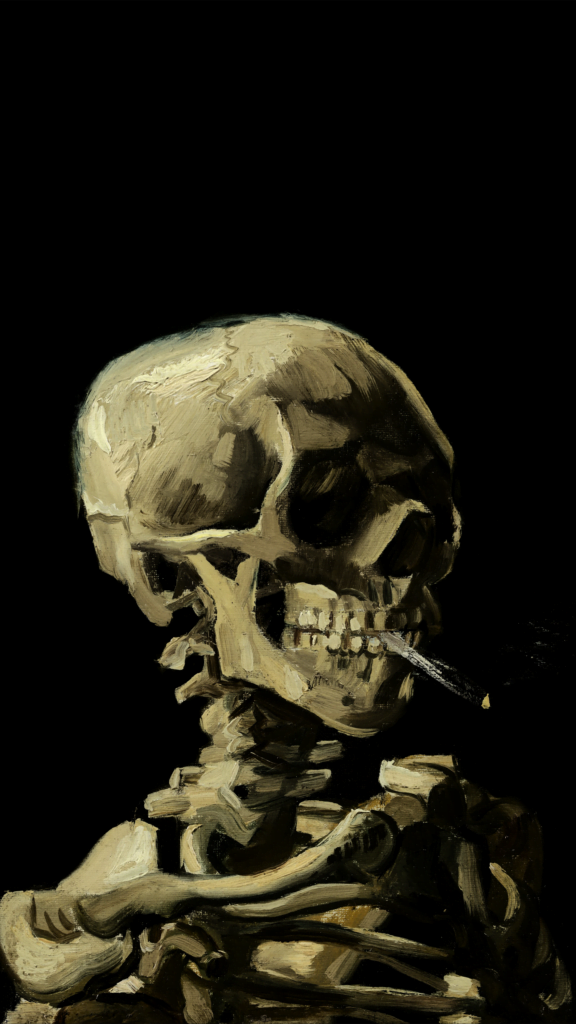 Skull of a Skeleton