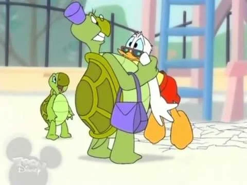 Cartoon turtle: Baby Shelby
