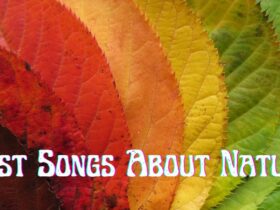 Best Songs About Nature