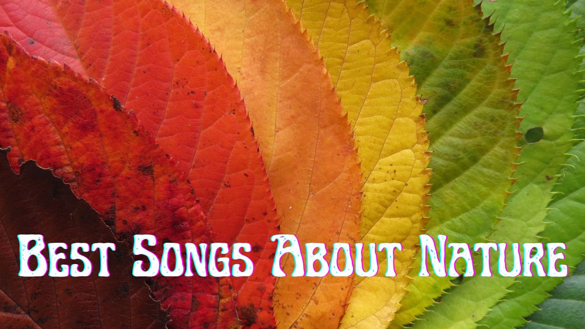 Best Songs About Nature
