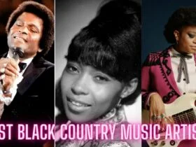 Best Black Country Artists