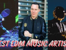 Best EDM music artists