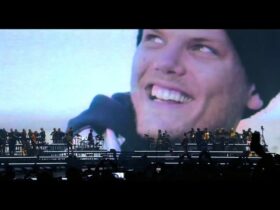 Avicii Auctioned