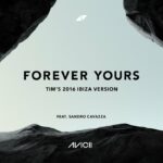 Avicii Forever Yours