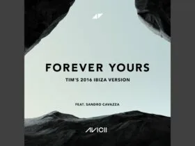 Avicii Forever Yours