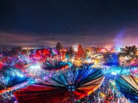 Lightning in a Bottle 2026 Lineup